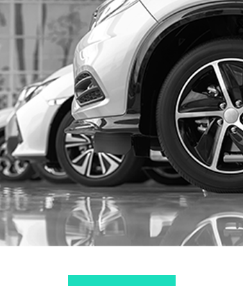 AFNY_WhoAttends_Image-1